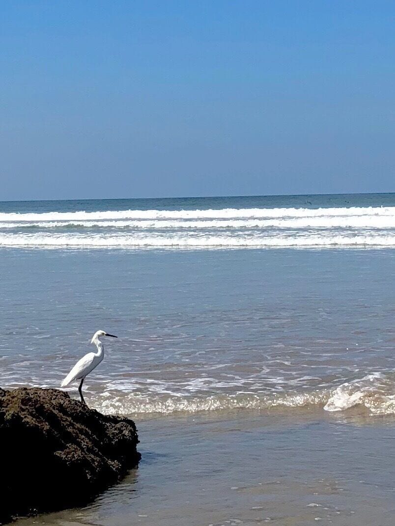 Easter morning at Playa Hermosa. This is a stunning beach! 