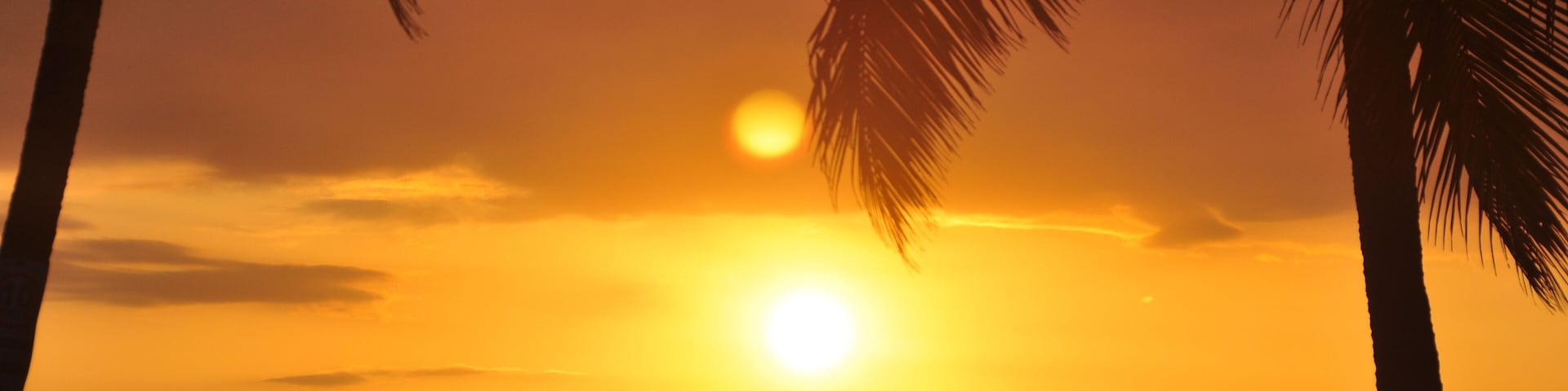 Um pôr do sol com um sol brilhante, palmeiras e três figuras silhuetadas.