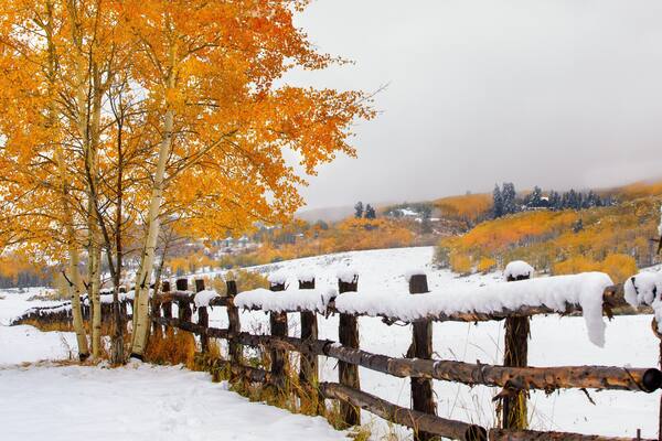 snow in Colorado