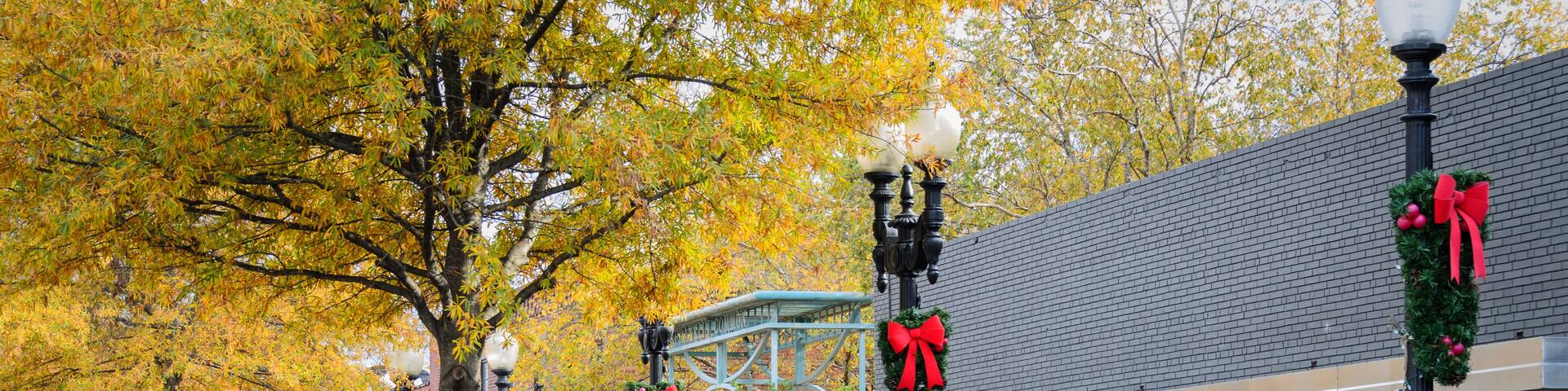 Christmas time in Fayetteville, NC
