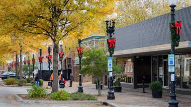 Christmas time in Fayetteville, NC