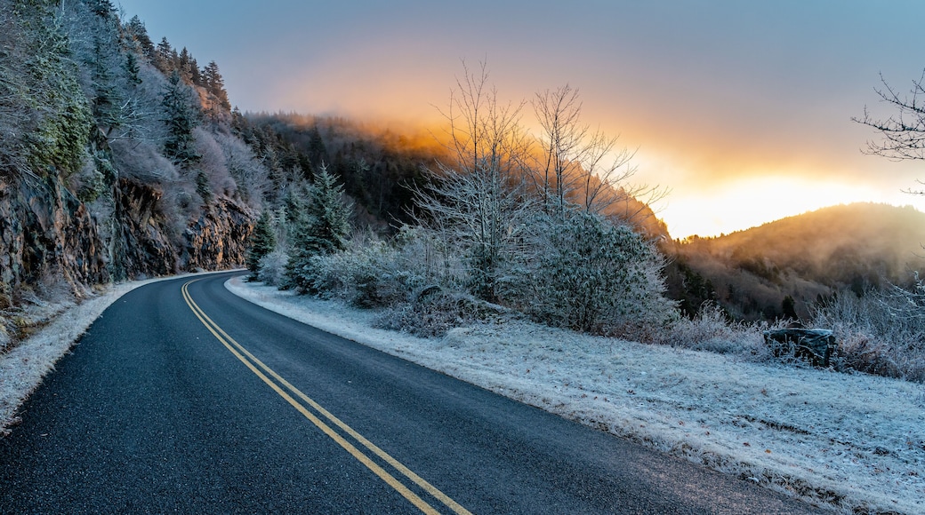 Near Caney Fork Overlook.