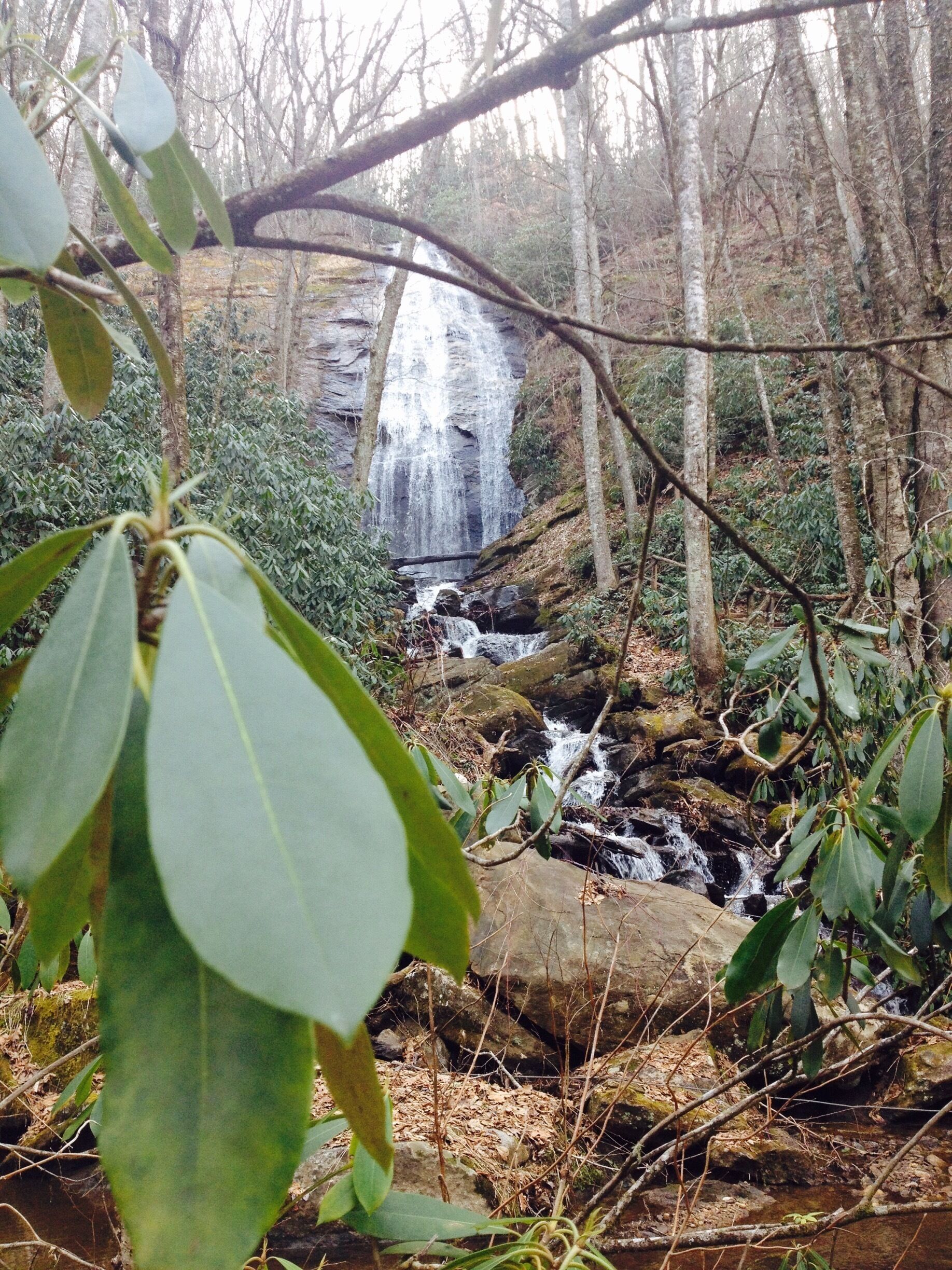 Cullowhee Falls
#takeahike