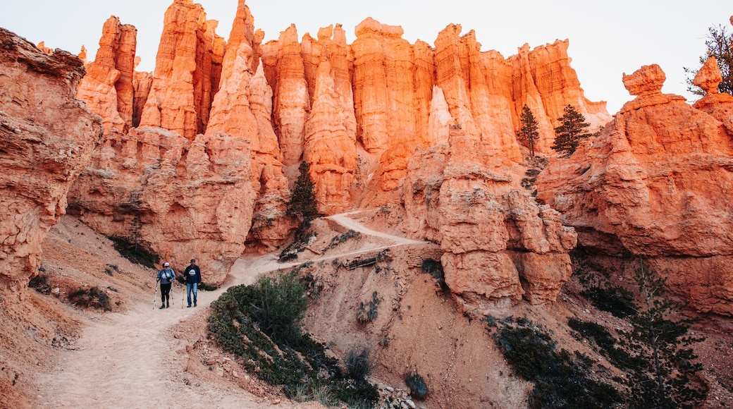 Hikers on a canyon trail with tall, orange rock spires towering