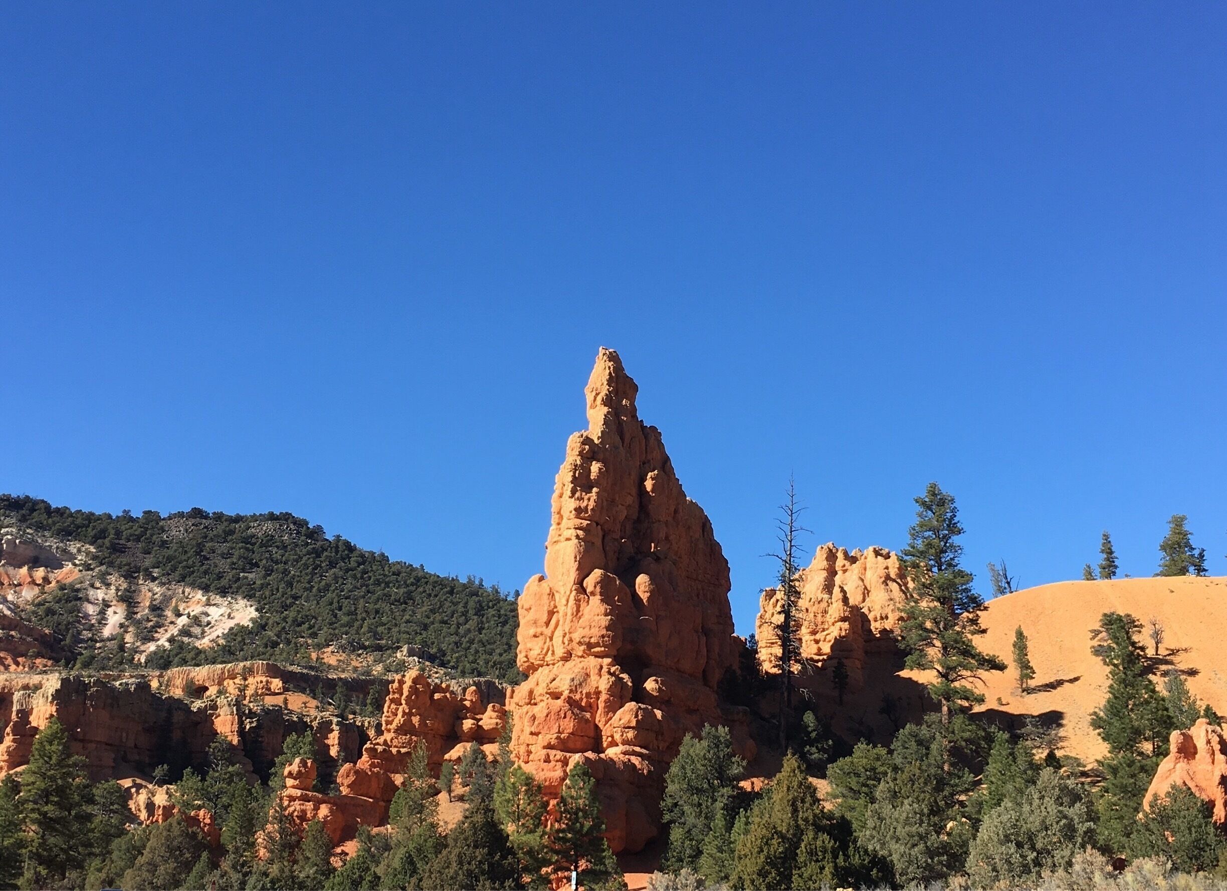 Red canyon rock formations in Dixie National Forest. 

#Utah #DixieNational Forest

(Oct 2017)