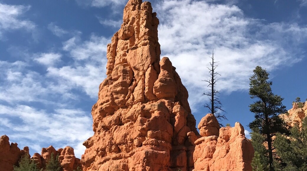 Interesting Formation at Red Canyon