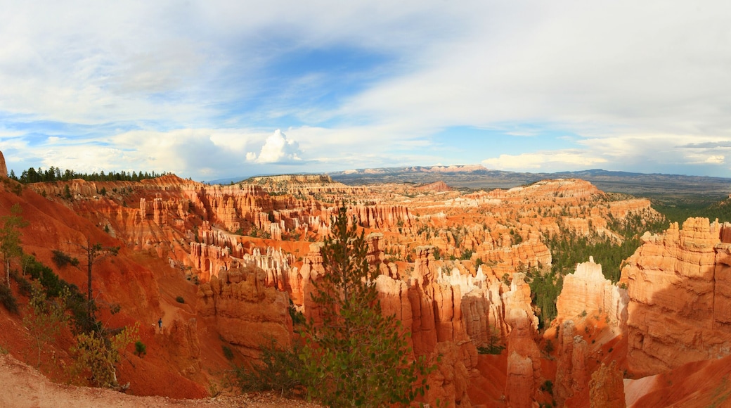 Bryce canyon