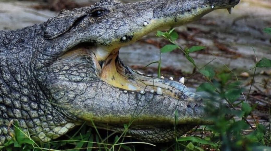 Different activities and nature can be found in this park in the middle of the city #lifeatexpedia #tlotravel #cuernavaca