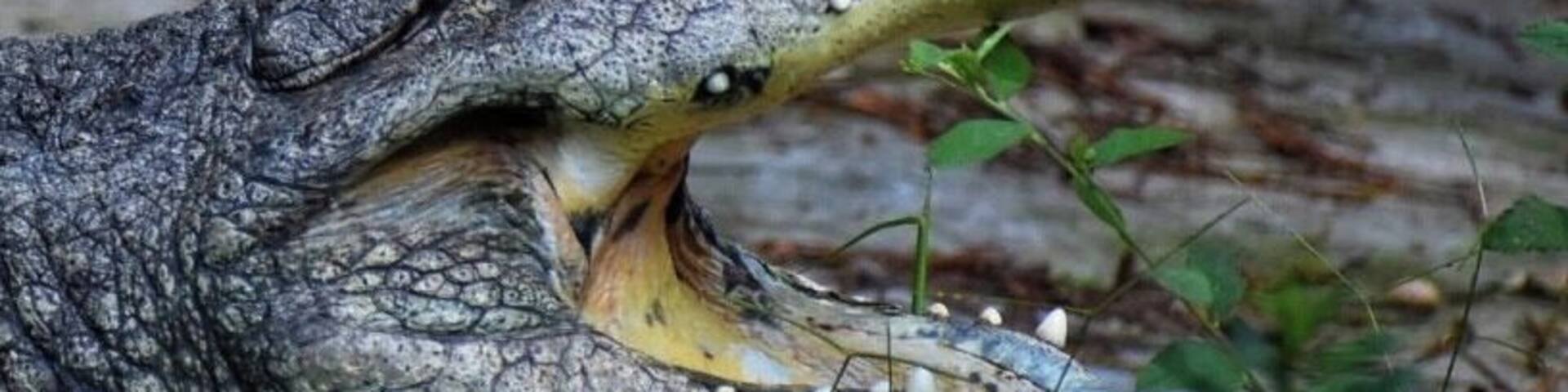 Different activities and nature can be found in this park in the middle of the city #lifeatexpedia #tlotravel #cuernavaca