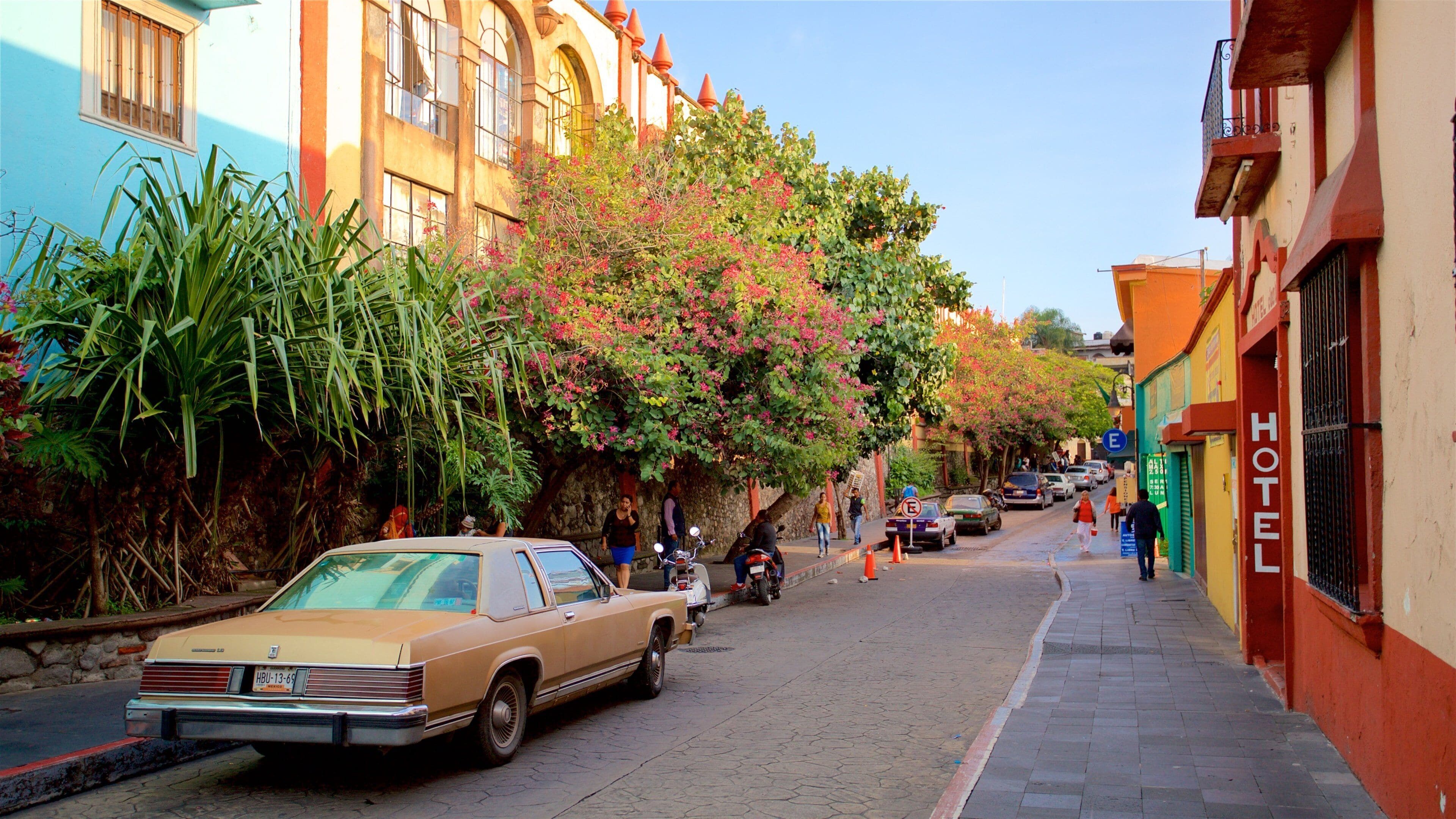 Cuernavaca which includes signage