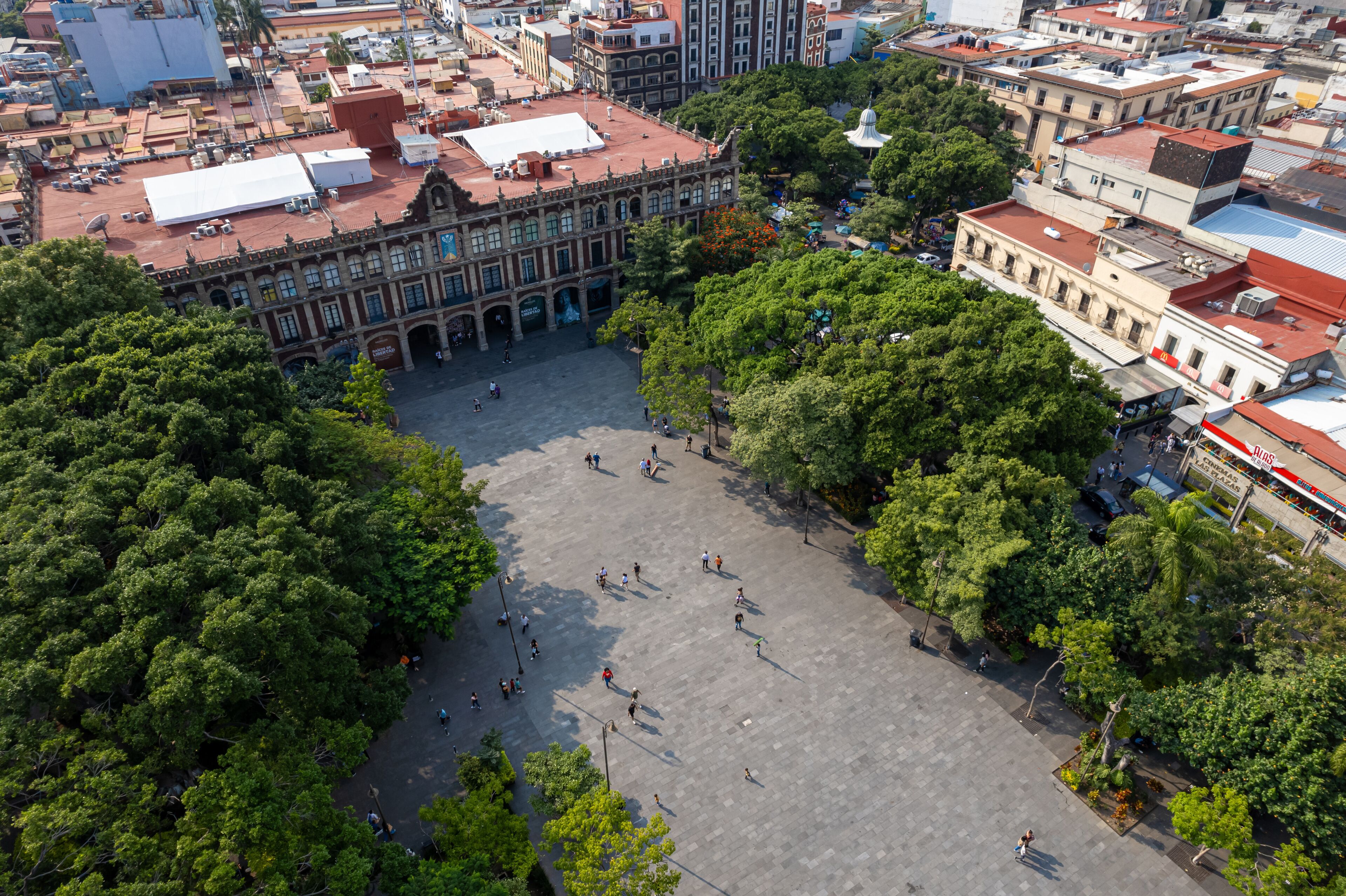 Vista aérea de una plaza rodeada de edificios y árboles.
