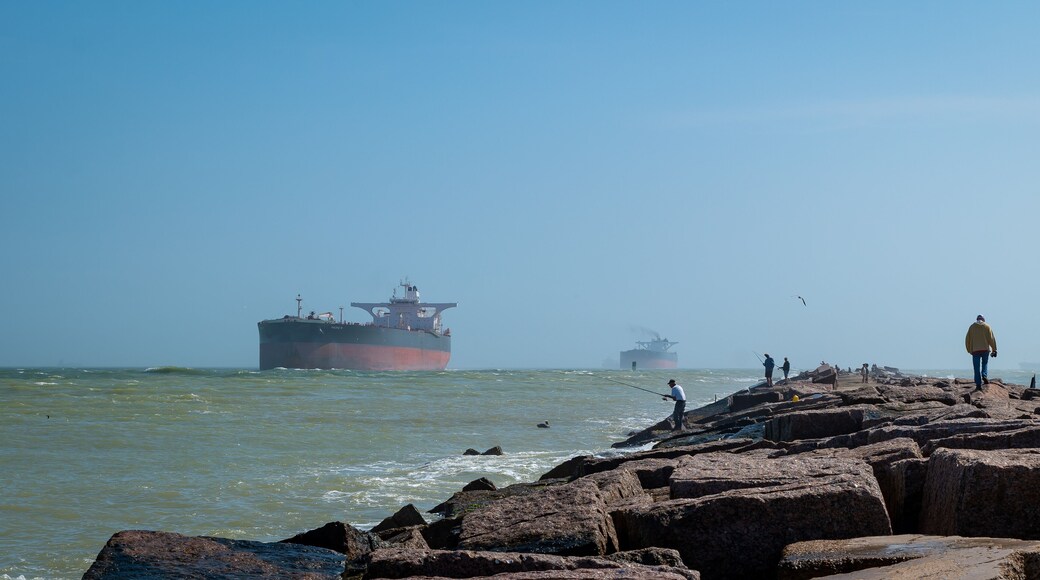 ํ๋ฒ ๋์คํธ๋ฆญํธ