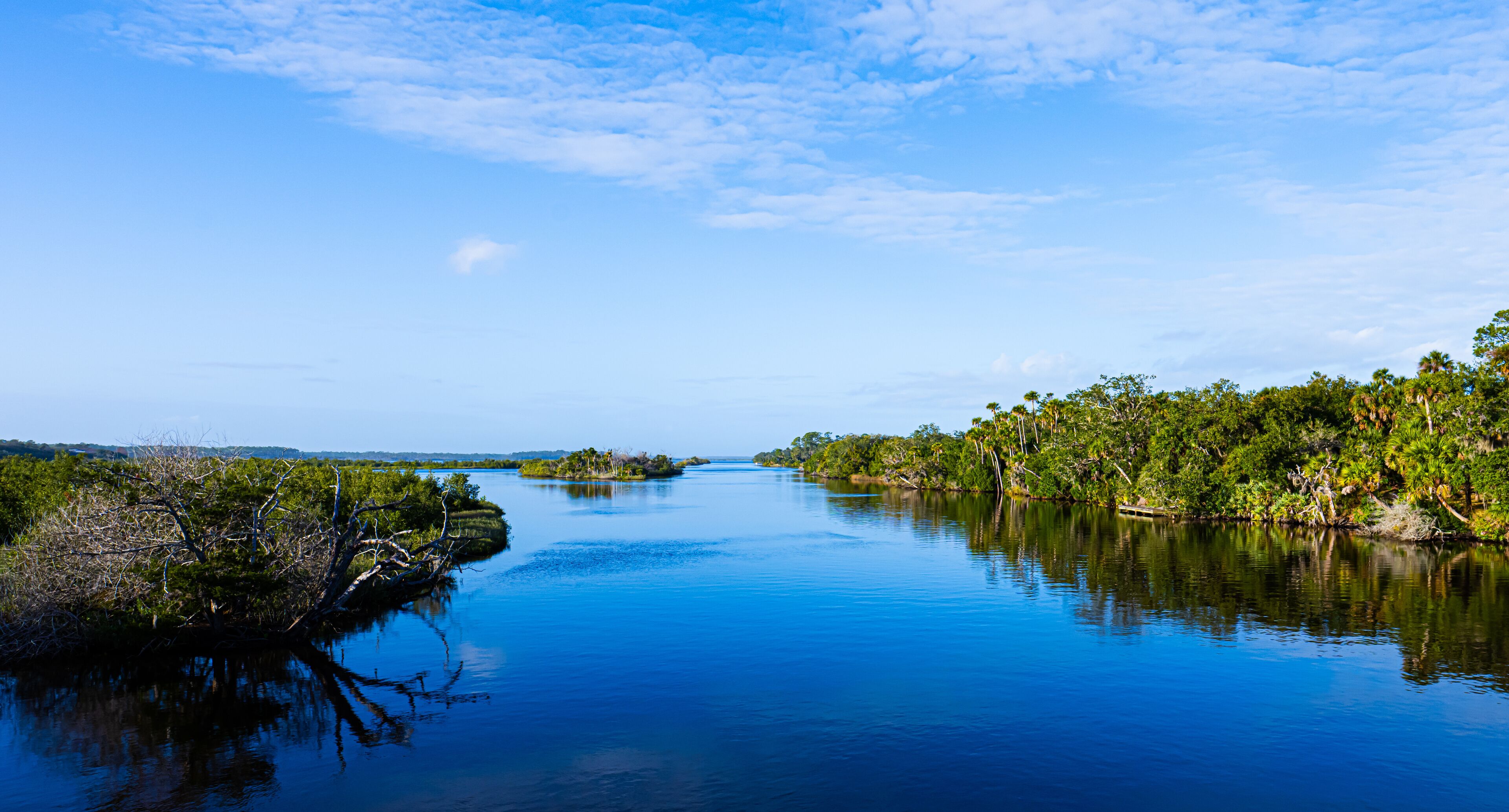 Florida Estuary Scenery