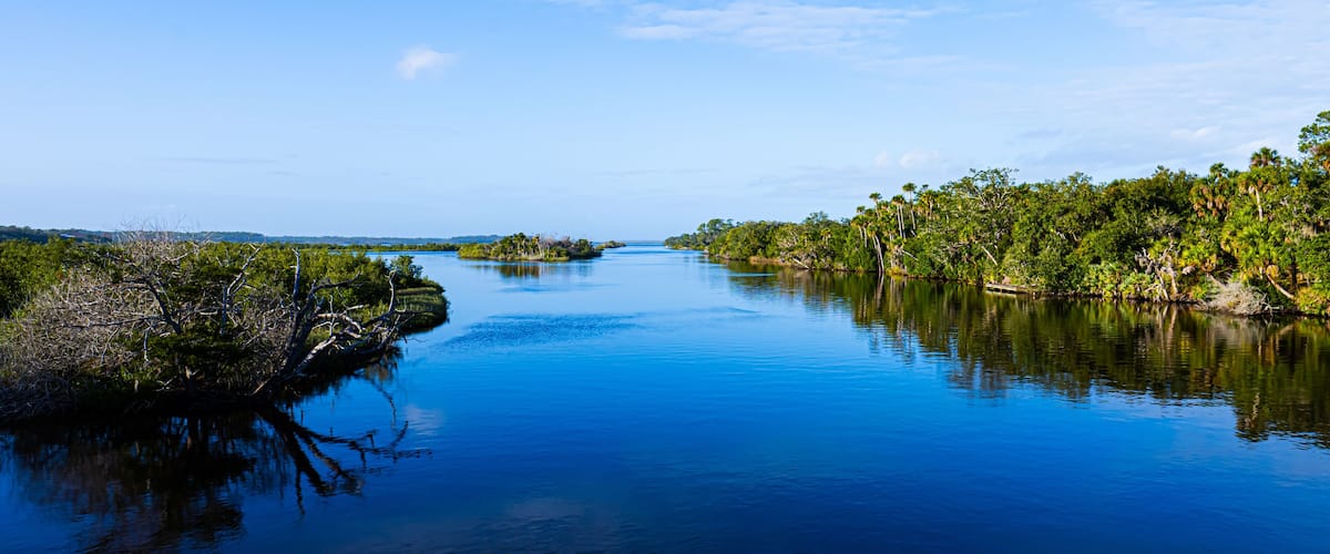 Ein ruhiger Fluss, gesäumt von üppiger Vegetation, unter einem klaren, blauen Himmel.