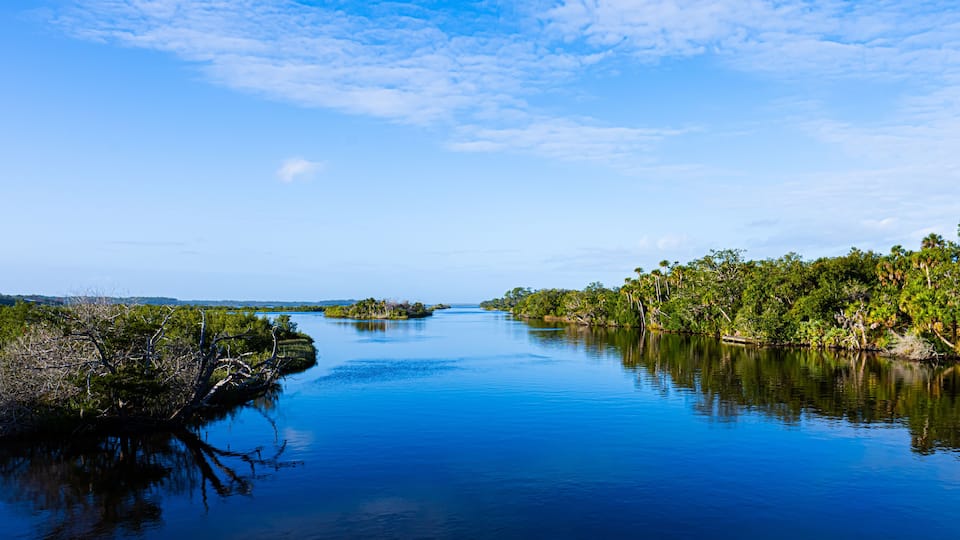 Florida Estuary Scenery