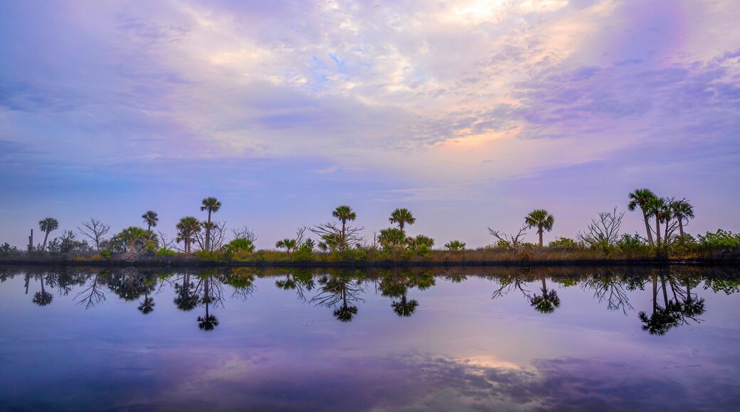 Vil·les Ocean Village