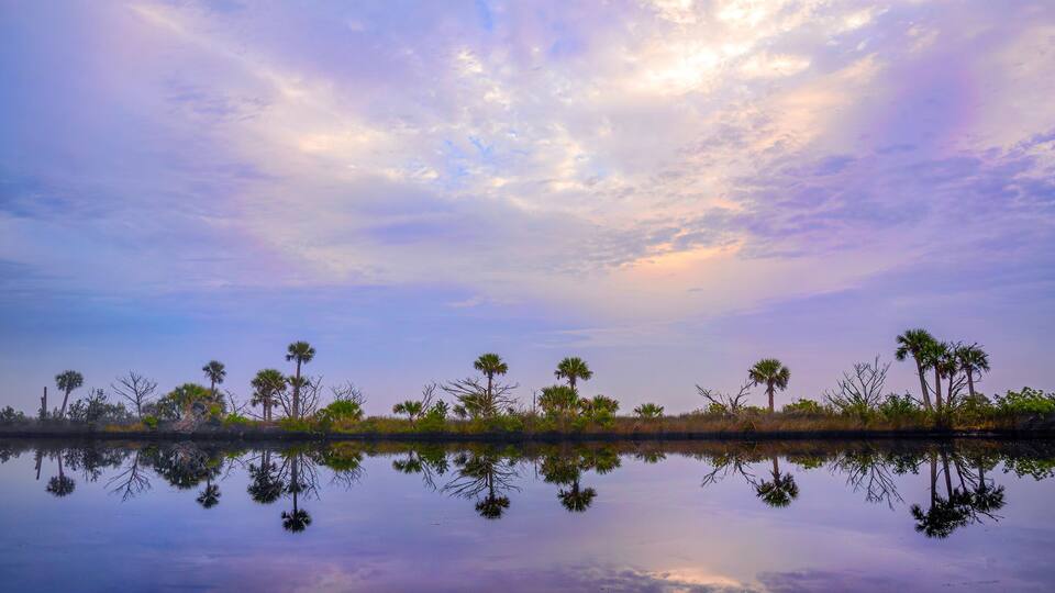Twilight on the Tomoka River in Florida, a row of tropical palm trees is illuminated against a purple-blue sky, with perfect reflections of the trees and clouds mirrored in the calm water. Horizontal