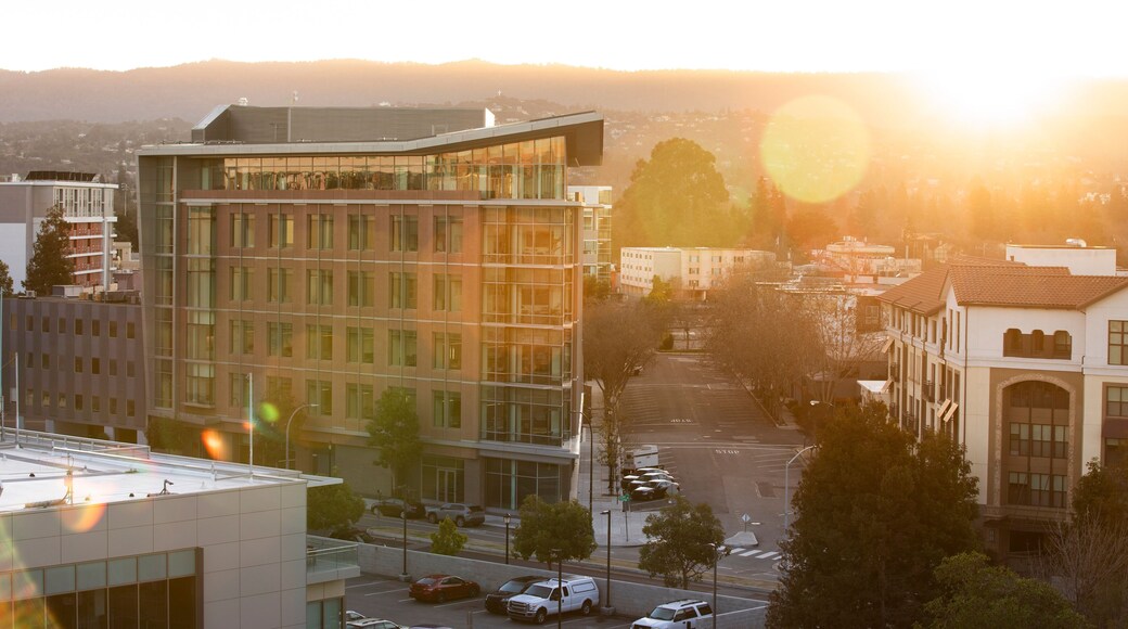 Downtown Redwood City