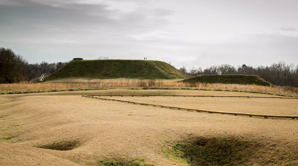 Indian mounds in the distance
