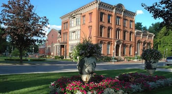 ดาวน์ทาวน์ซาราโตกาสปริงส์