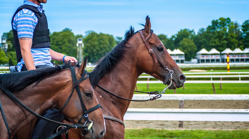 นอร์ธบรอดเวย์