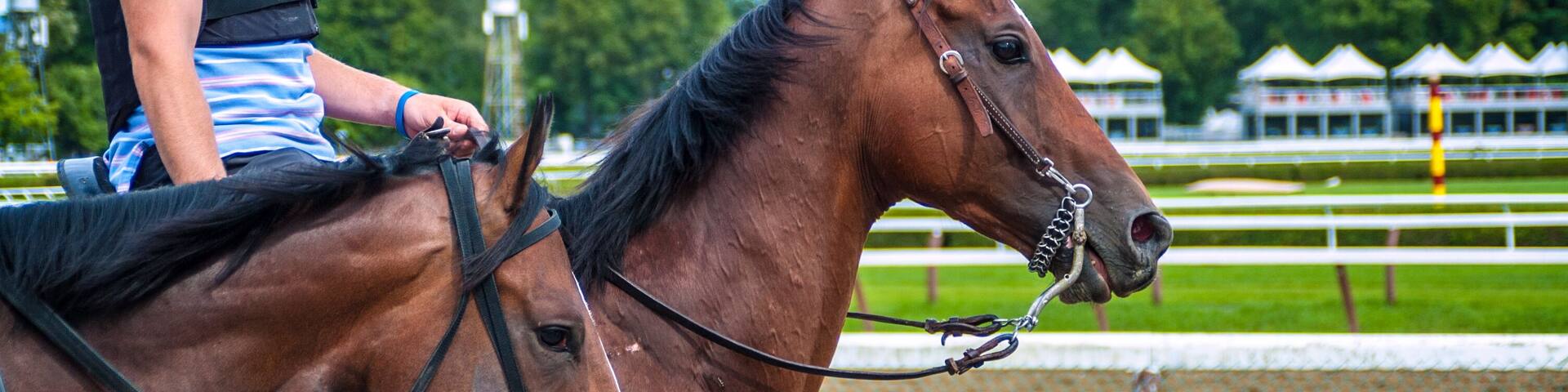 Horse Racing Track Upstate New York Adirondacks Saratoga Race Course