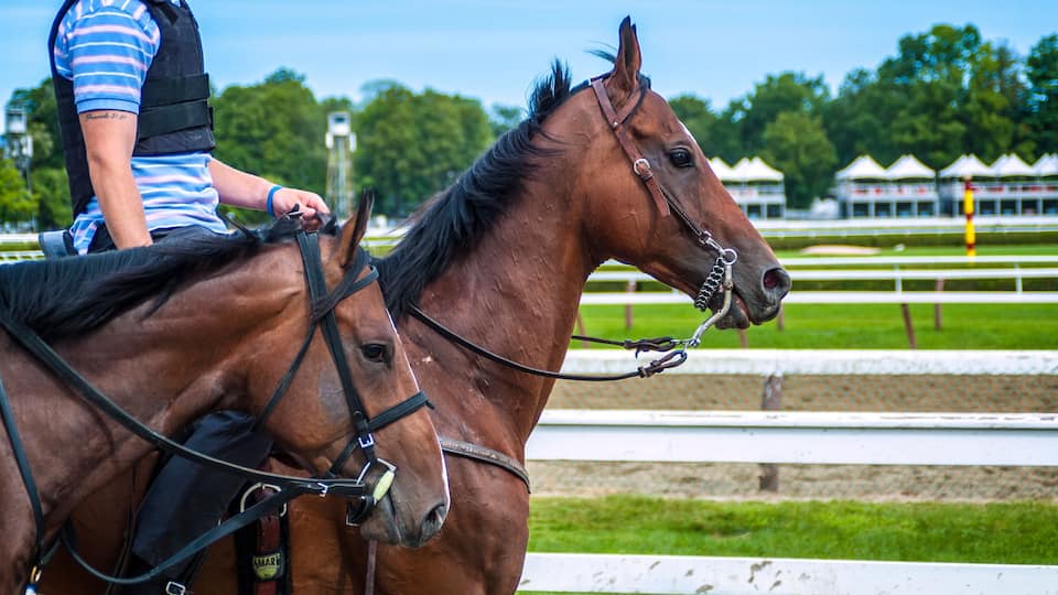 Horse Racing Track Upstate New York Adirondacks Saratoga Race Course