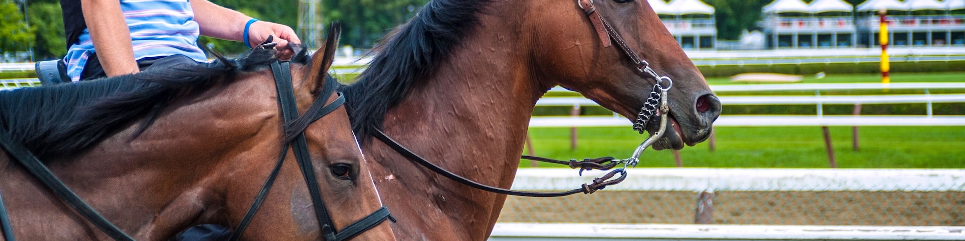 Horse Racing Track Upstate New York Adirondacks Saratoga Race Course