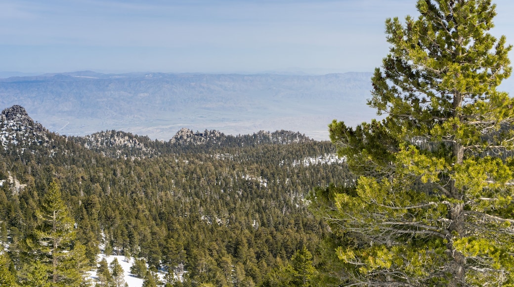 View towards the Palm Springs Aerial Tramway on the ridge from the trail to Mount San Jacinto peak, California