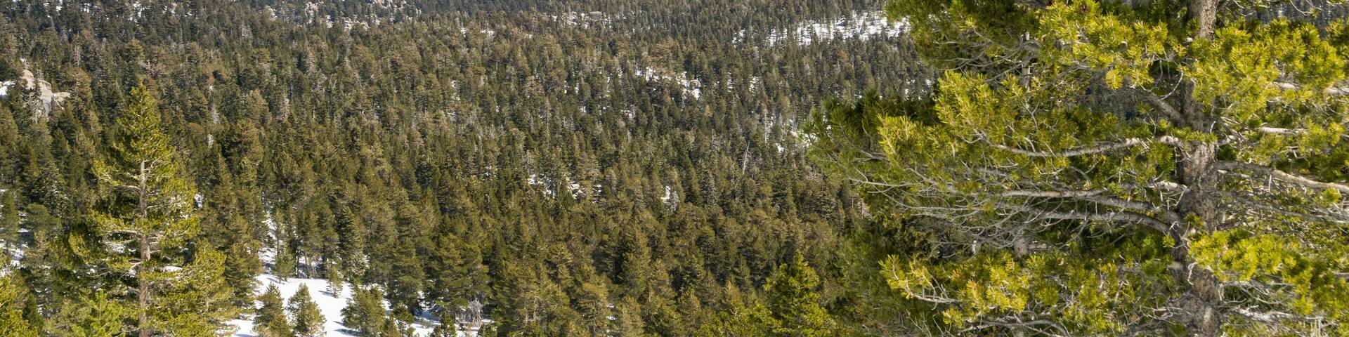 View towards the Palm Springs Aerial Tramway on the ridge from the trail to Mount San Jacinto peak, California