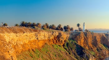 A coastal cliff with a lighthouse and palm trees.