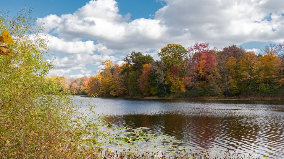 Kalamazoo River, Michigan - October Collection