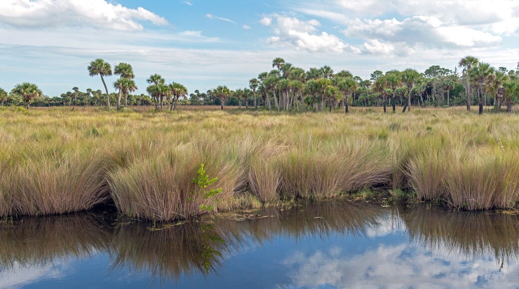 South Merritt Estates