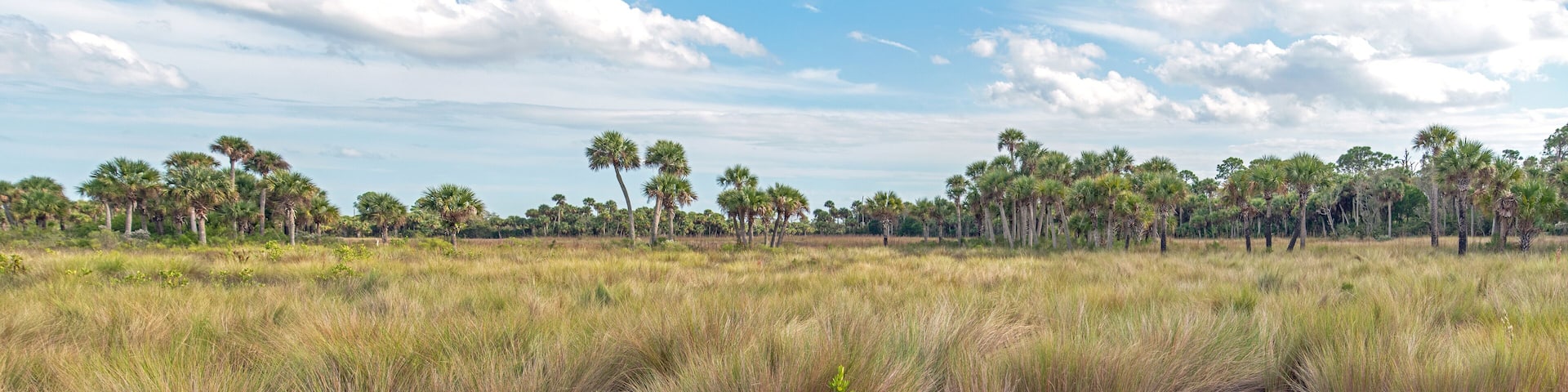 Merritt Island National Wildlife Refuge