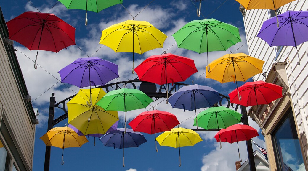 Centre-ville de Littleton