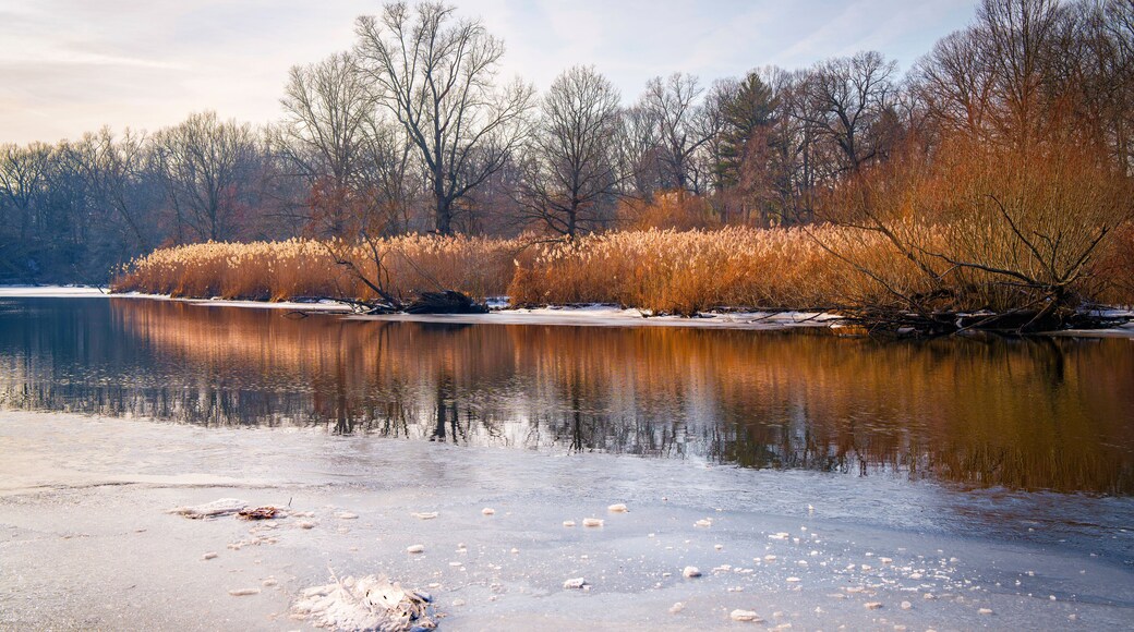 New England Winter Landscape over the Mill River, East Rock Park in New Haven, Connecticut, USA
