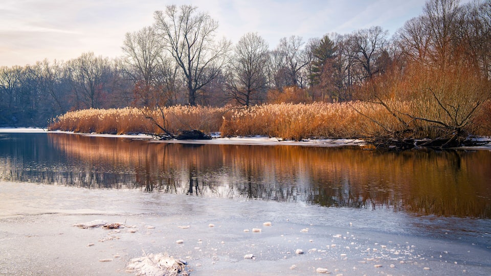 New England Winter Landscape over the Mill River, East Rock Park in New Haven, Connecticut, USA