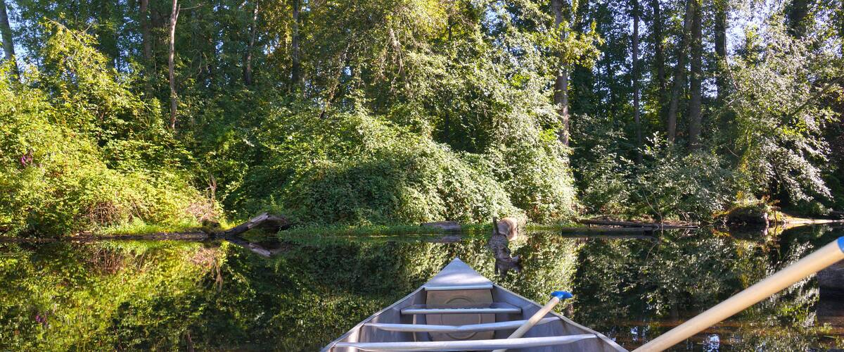 A boat with oars on the shore of Foster Island. Seattle. Washington state. USA.