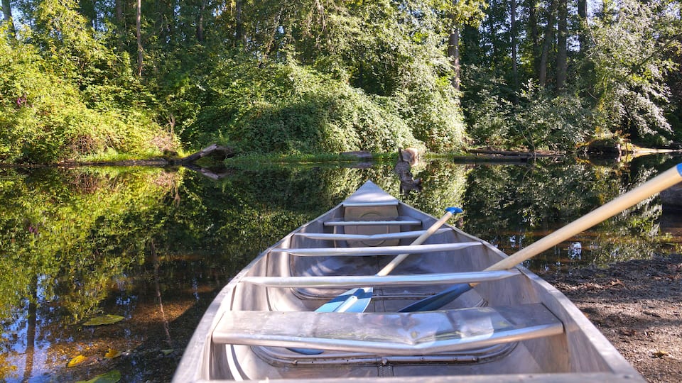 A boat with oars on the shore of Foster Island. Seattle. Washington state. USA.