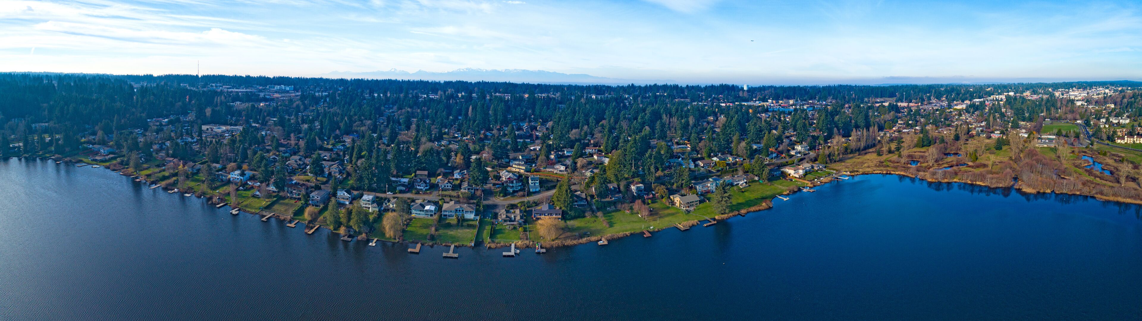 An aerial view of a lakeside community with dense forestation, residential areas, and a clear sky.