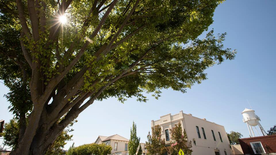 Elk Grove, California, USA - July 16, 2021: Afternoon sunlight shines on historic downtown Elk Grove.