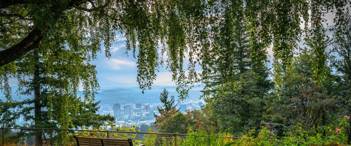 Portland cityscape with a rustic wooden bench under the willow tree in the garden.Autumn landscape at Pittock Mansion Park in Portland, Oregon State.