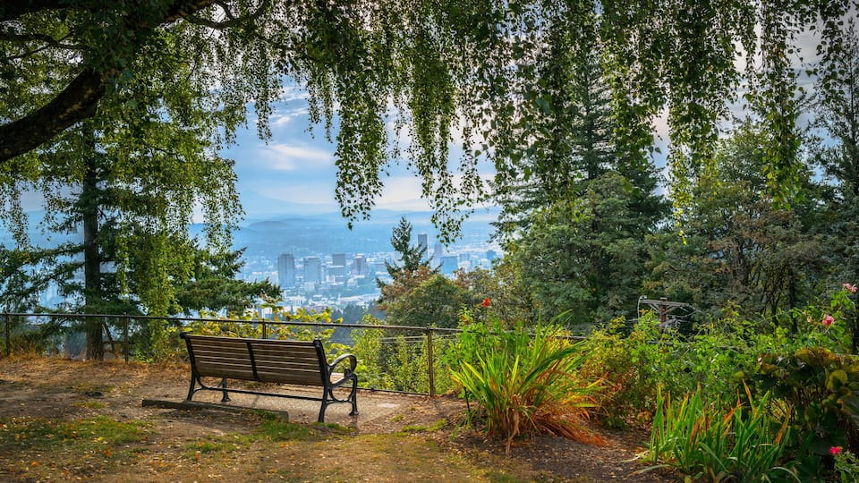 Portland cityscape with a rustic wooden bench under the willow tree in the garden.Autumn landscape at Pittock Mansion Park in Portland, Oregon State.