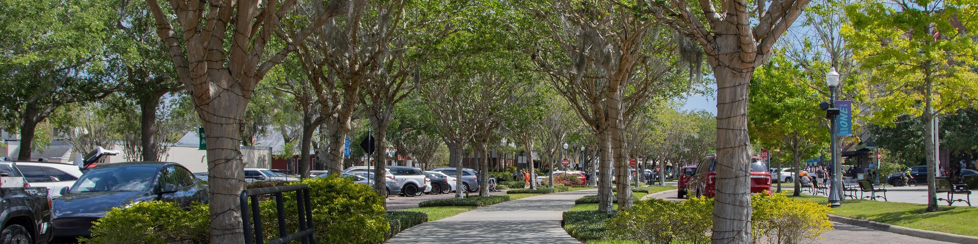 A tree-lined sidewalk with parked cars and a clear sky.