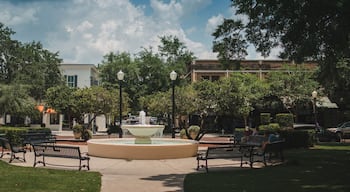 Distrito de Park Avenue