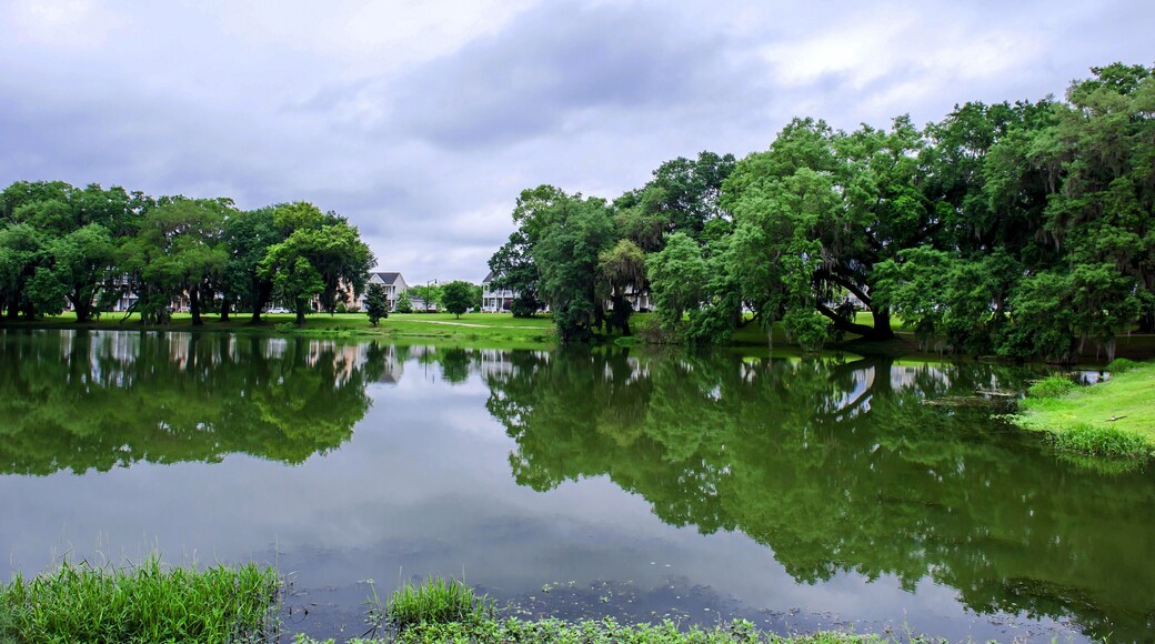 The beautiful central state park,Tallahassee Florida