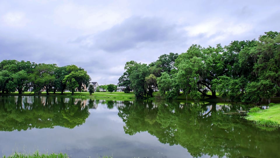 The beautiful central state park,Tallahassee Florida