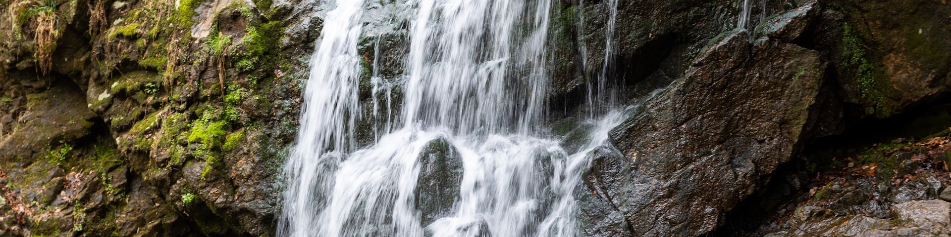 Cascade Falls within the Patapsco Valley State Park in Maryland USA