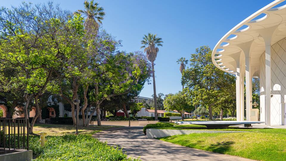 California institute of technology