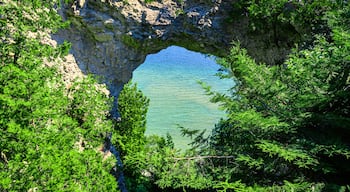 ดาวน์ทาวน์ แมคคินอว์ ไอส์แลนด์